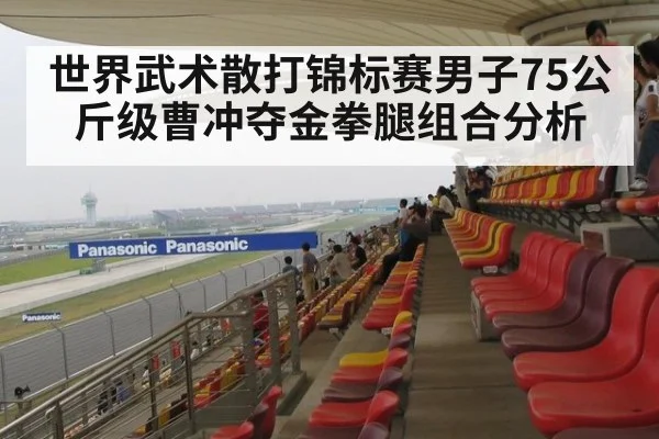 世界武术散打锦标赛男子75公斤级曹冲夺金拳腿组合分析