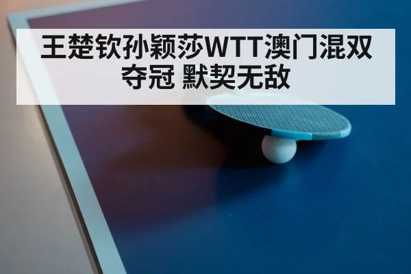 ping pong racket close up
